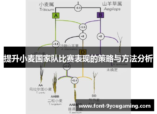 提升小麦国家队比赛表现的策略与方法分析