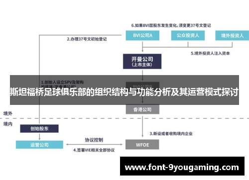 斯坦福桥足球俱乐部的组织结构与功能分析及其运营模式探讨