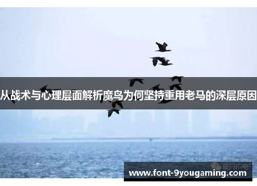 从战术与心理层面解析魔鸟为何坚持重用老马的深层原因