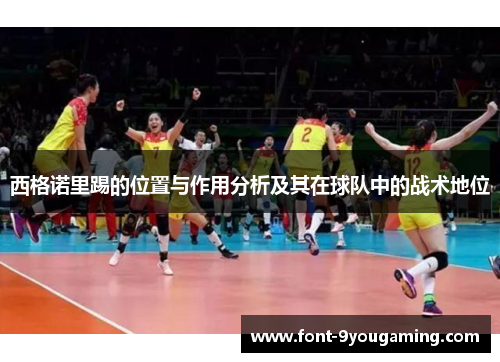西格诺里踢的位置与作用分析及其在球队中的战术地位