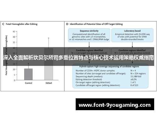 深入全面解析坎贝尔所司多重位置特点与核心技术运用策略权威指南 深入全面解析坎贝尔所司多重位置特点与核心技术运用策略权威指南