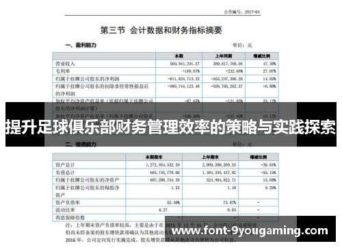 提升足球俱乐部财务管理效率的策略与实践探索