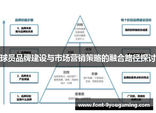 球员品牌建设与市场营销策略的融合路径探讨